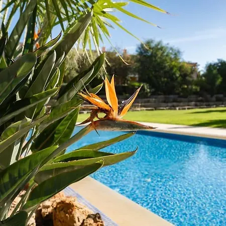 Balaia - Fantastica Moradia 6 Com Piscina E Bbq *